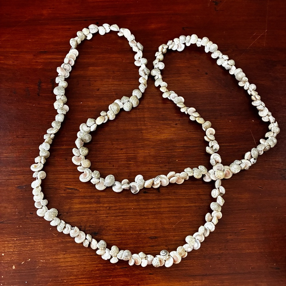 Long Mini Shell Vintage Necklace